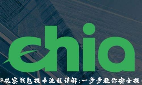 
TP观察钱包提币流程详解：一步步教你安全提币
