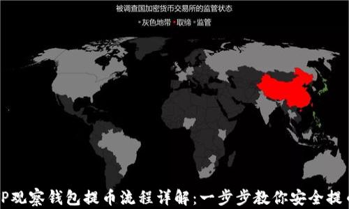 
TP观察钱包提币流程详解：一步步教你安全提币