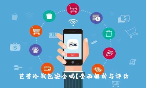 芭蕾冷钱包安全吗？全面解析与评估
