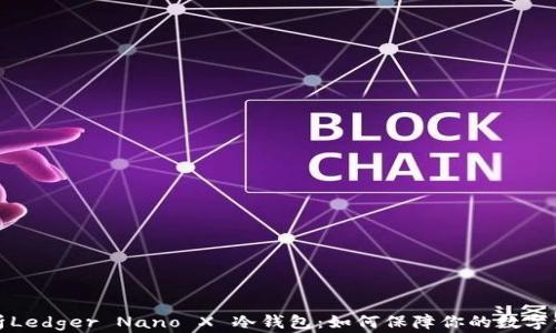 
全面解析Ledger Nano X 冷钱包：如何保障你的数字资产安全
