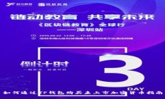 如何通过TP钱包购买未上市加密货币指南
