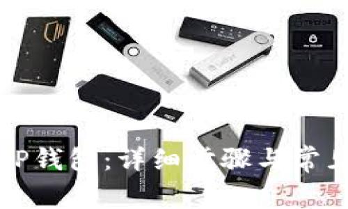 如何登录TP钱包：详细步骤与常见问题解析