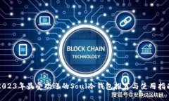 2023年最受欢迎的Soul冷钱包推荐与使用指南