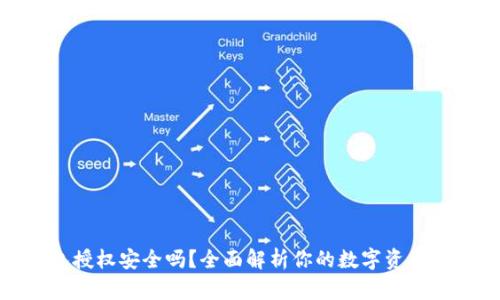 TP钱包授权安全吗？全面解析你的数字资产安全性