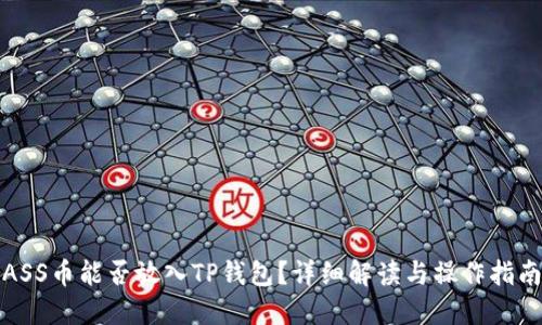 ASS币能否放入TP钱包？详细解读与操作指南