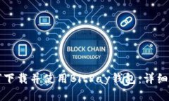 如何下载并使用BitPay钱包：详细指南