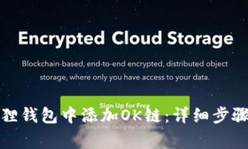 如何在小狐狸钱包中添加OK链：详细步骤与注意事项