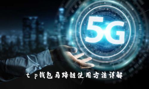 t p钱包马蹄链使用方法详解
