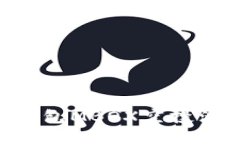 如何参与TP钱包MBOX空投活动：详细指南