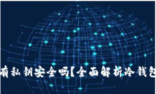 冷钱包没有私钥安全吗？全面解析冷钱包的安全性