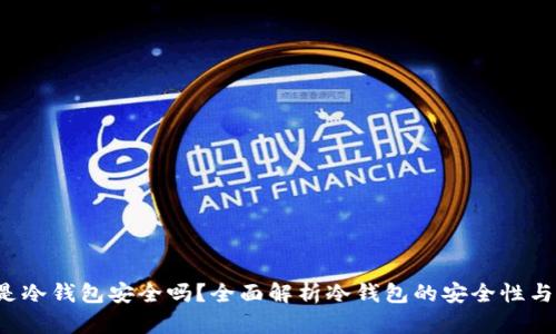 t p钱包是冷钱包安全吗？全面解析冷钱包的安全性与使用指南