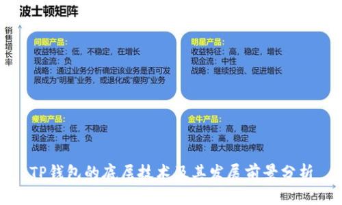 TP钱包的底层技术及其发展前景分析