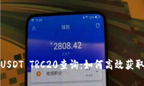 全面解析USDT TRC20查询:如何高效获取实时信息