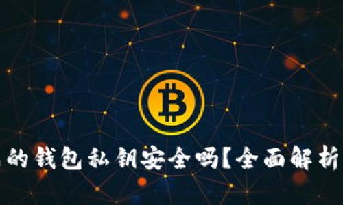 TP钱包生成的钱包私钥安全吗？全面解析与防范建议