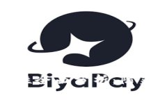 TP波场钱包安全性全面分析：防范风险与保护资产