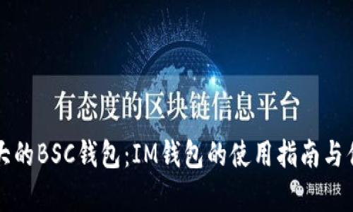 打造强大的BSC钱包:IM钱包的使用指南与优势分析