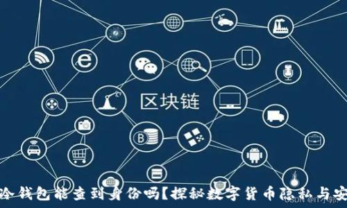   
tp冷钱包能查到身份吗？探秘数字货币隐私与安全