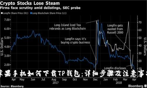 苹果手机如何下载TP钱包：详细步骤及注意事项