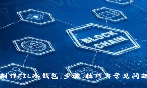 如何制作FIL冷钱包：步骤、技巧与常见问题解答