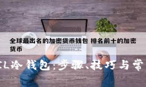 如何制作FIL冷钱包：步骤、技巧与常见问题解答