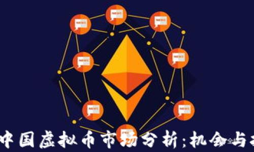 
2023年中国虚拟币市场分析：机会与挑战并存