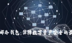 法国直邮冷钱包：保障数字资产安全的最佳选择