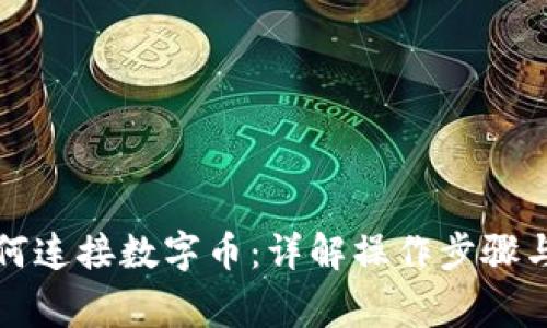 冷钱包如何连接数字币：详解操作步骤与注意事项