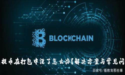 TP钱包提币在打包中没了怎么办？解决方案与常见问题解答