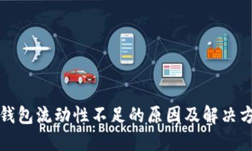 TP钱包流动性不足的原因及解决方案