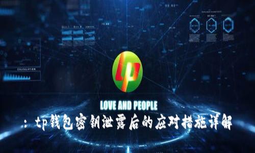 : tp钱包密钥泄露后的应对措施详解