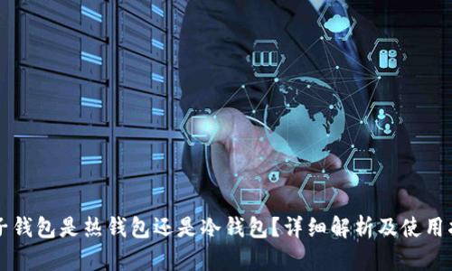 麦子钱包是热钱包还是冷钱包？详细解析及使用指南