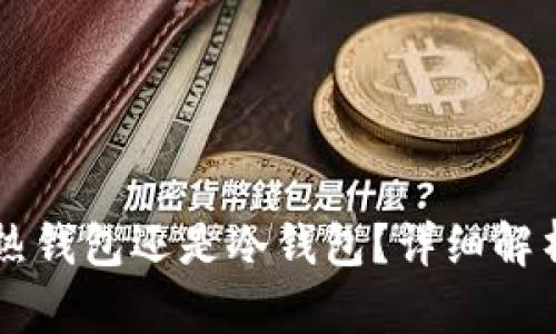麦子钱包是热钱包还是冷钱包？详细解析及使用指南