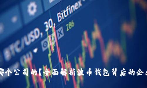 波币钱包是哪个公司的？全面解析波币钱包背后的企业与运营模式