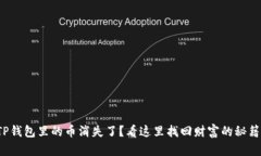 TP钱包里的币消失了？看这里找回财富的秘籍！