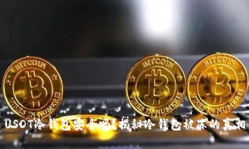 USDT冷钱包安全吗？揭秘冷钱包被冻的真相