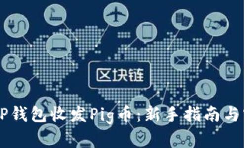 如何用TP钱包收发Pig币：新手指南与实战技巧