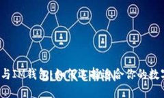 TP钱包与IM钱包：如何选择适合你的数字钱包？