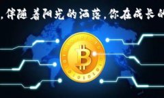   火币转账成功到TP钱包的全流程解析：安全、快