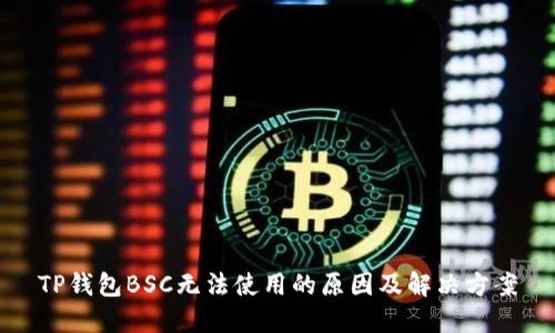 TP钱包BSC无法使用的原因及解决方案