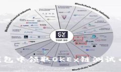 如何在TP钱包中领取OKEx链测试币：完整指南