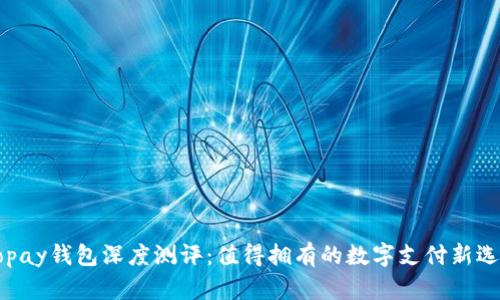 Gopay钱包深度测评：值得拥有的数字支付新选择