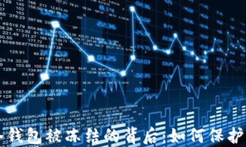 
解读比特币冷钱包被冻结的背后：如何保护你的数字资产