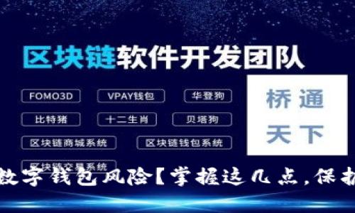 如何安全查询数字钱包风险？掌握这几点，保护你的资产安全