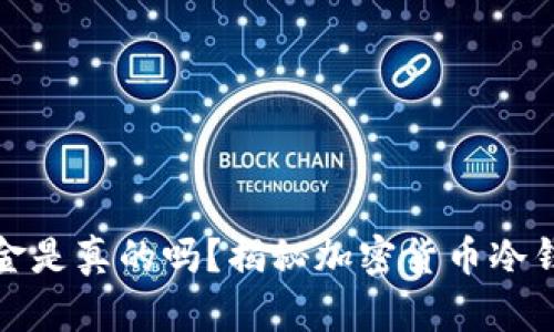 冷钱包显示美金是真的吗？揭秘加密货币冷钱包的真实情况