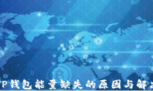 
解密TP钱包能量缺失的原因与解决方案