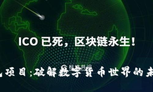 T P钱包项目：破解数字货币世界的未来密码