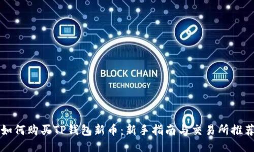 如何购买TP钱包新币：新手指南与交易所推荐