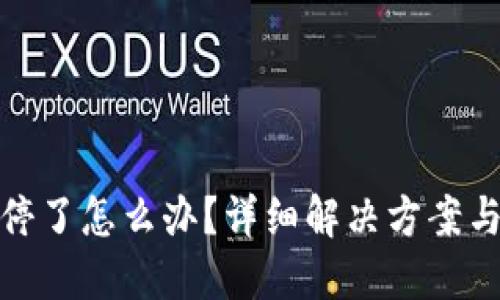 TP钱包关停了怎么办？详细解决方案与替代选择