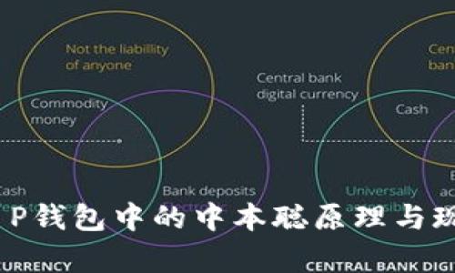 小心！T P钱包中的中本聪原理与现状解析