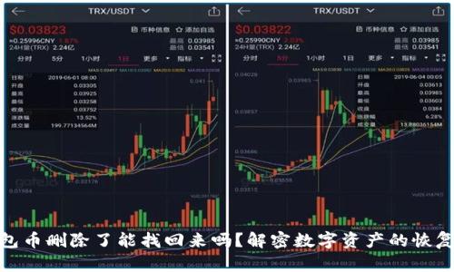 TP钱包币删除了能找回来吗？解密数字资产的恢复之道